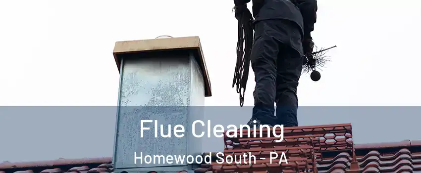 Flue Cleaning Homewood South - PA