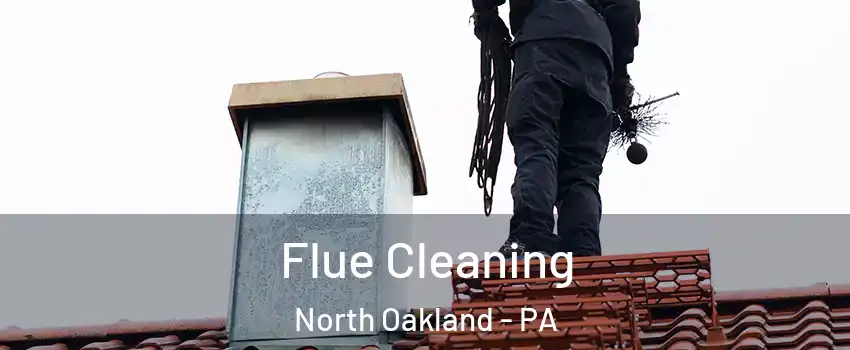 Flue Cleaning North Oakland - PA