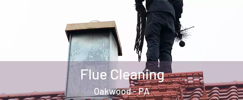 Flue Cleaning Oakwood - PA