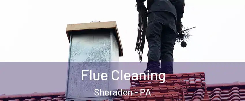 Flue Cleaning Sheraden - PA