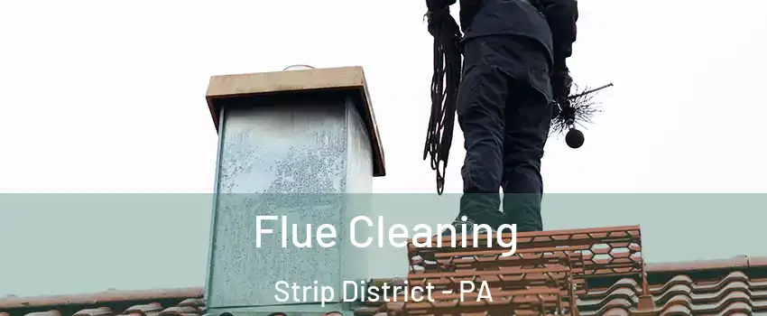 Flue Cleaning Strip District - PA