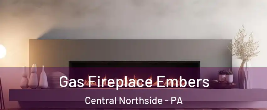 Gas Fireplace Embers Central Northside - PA