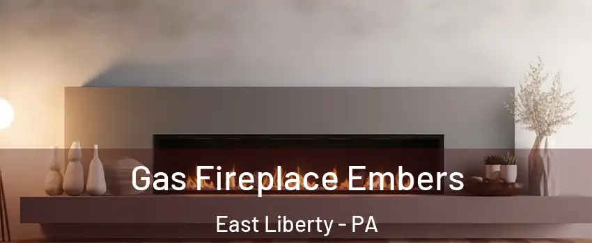 Gas Fireplace Embers East Liberty - PA