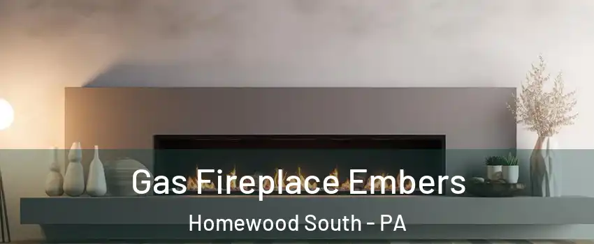 Gas Fireplace Embers Homewood South - PA