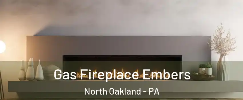 Gas Fireplace Embers North Oakland - PA