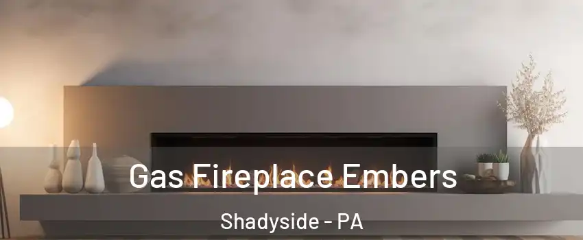 Gas Fireplace Embers Shadyside - PA