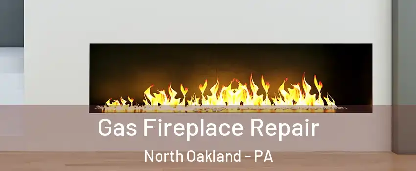 Gas Fireplace Repair North Oakland - PA