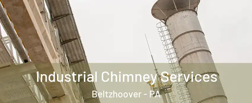 Industrial Chimney Services Beltzhoover - PA