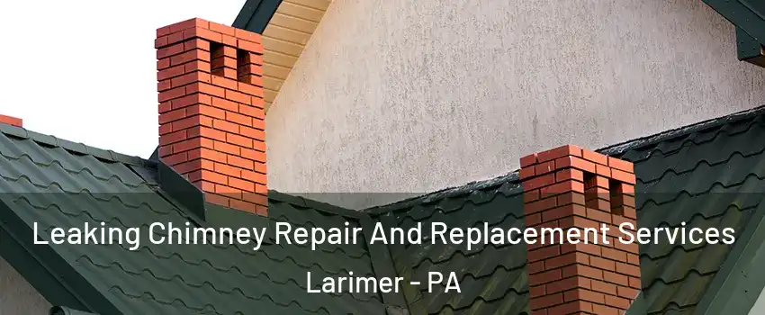 Leaking Chimney Repair And Replacement Services Larimer - PA