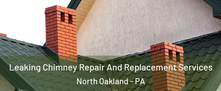 Leaking Chimney Repair And Replacement Services North Oakland - PA