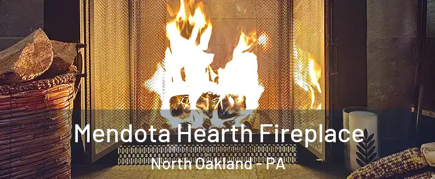 Mendota Hearth Fireplace North Oakland - PA