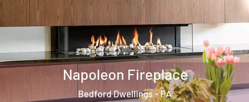 Napoleon Fireplace Bedford Dwellings - PA