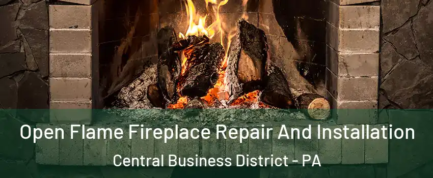 Open Flame Fireplace Repair And Installation Central Business District - PA