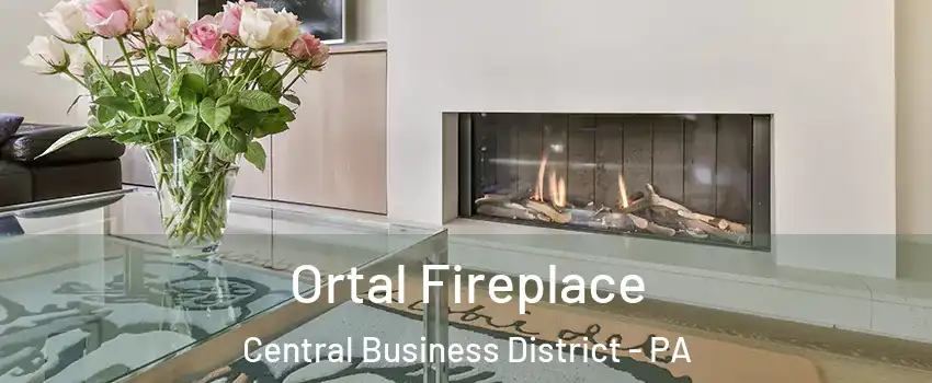 Ortal Fireplace Central Business District - PA