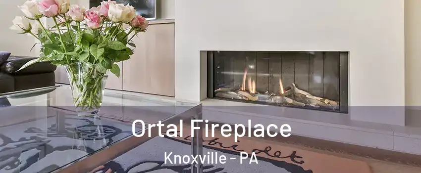 Ortal Fireplace Knoxville - PA