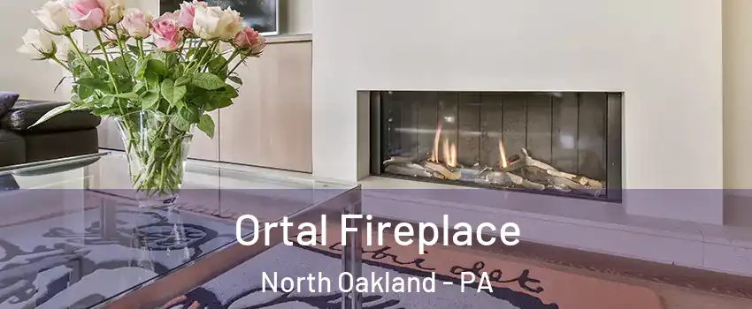 Ortal Fireplace North Oakland - PA