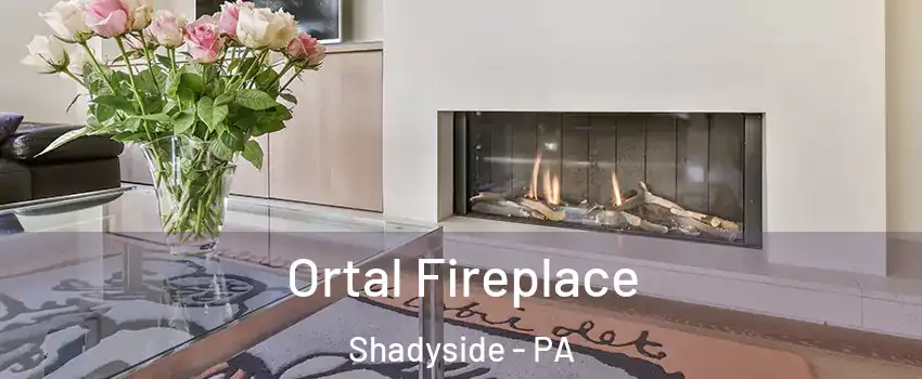 Ortal Fireplace Shadyside - PA