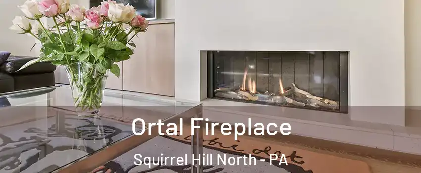 Ortal Fireplace Squirrel Hill North - PA