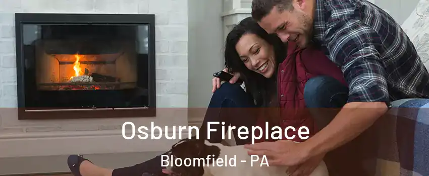 Osburn Fireplace Bloomfield - PA