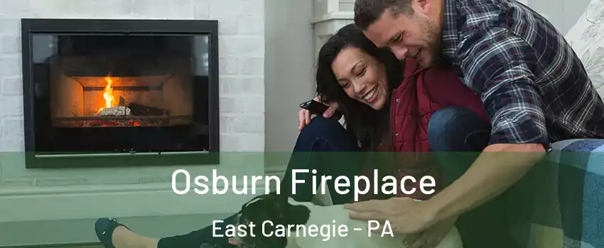 Osburn Fireplace East Carnegie - PA