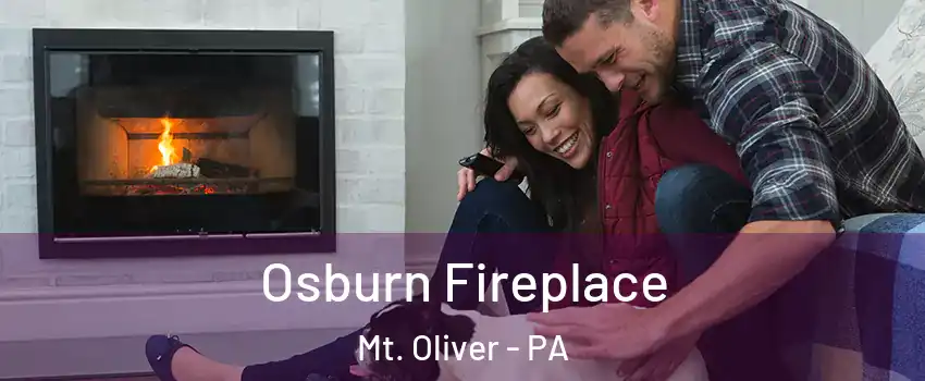 Osburn Fireplace Mt. Oliver - PA