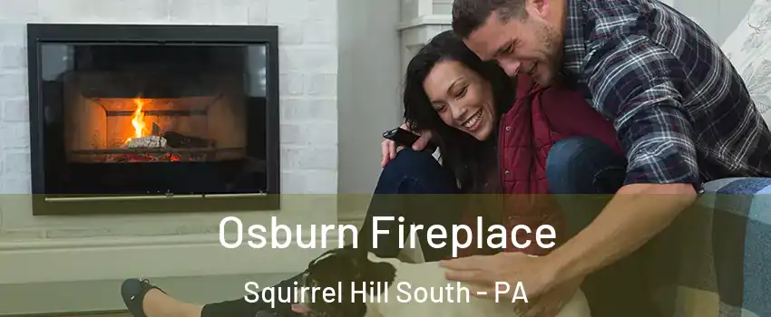 Osburn Fireplace Squirrel Hill South - PA