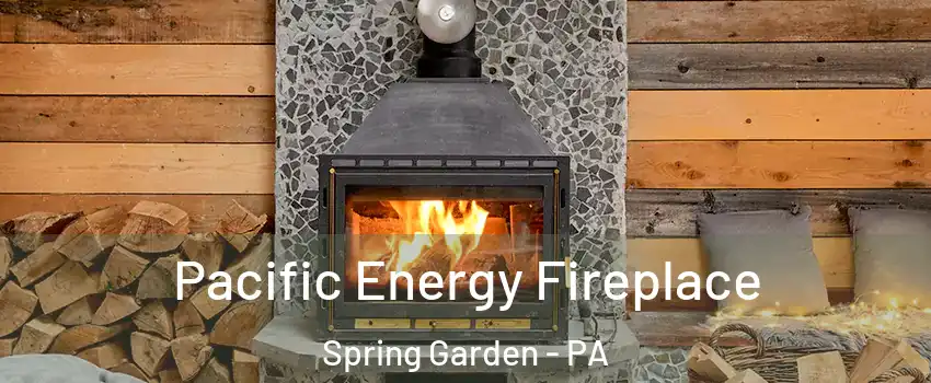 Pacific Energy Fireplace Spring Garden - PA