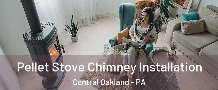 Pellet Stove Chimney Installation Central Oakland - PA