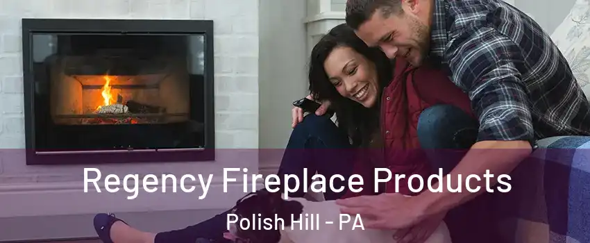 Regency Fireplace Products Polish Hill - PA