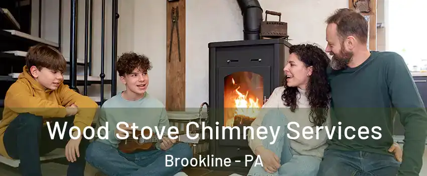 Wood Stove Chimney Services Brookline - PA