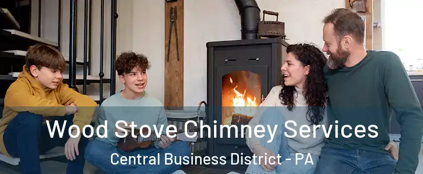 Wood Stove Chimney Services Central Business District - PA